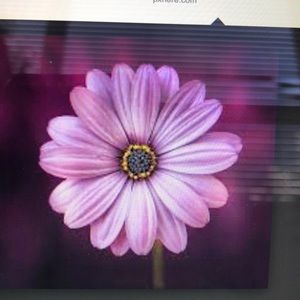 Meet your Posher, Cho